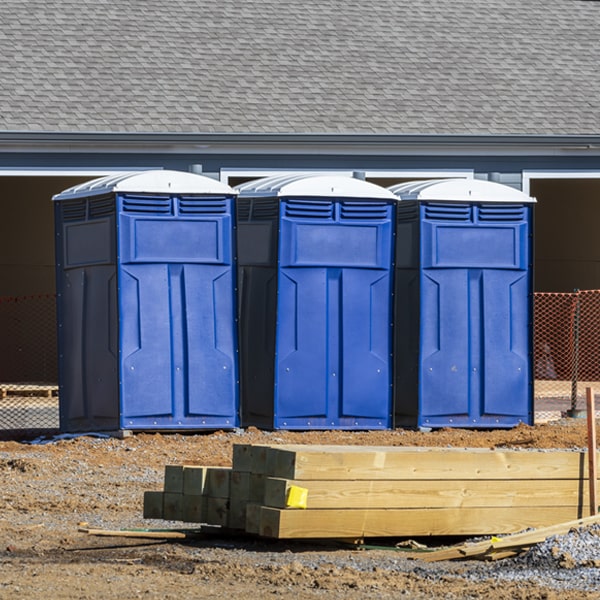 do you offer hand sanitizer dispensers inside the porta potties in Holliday Texas